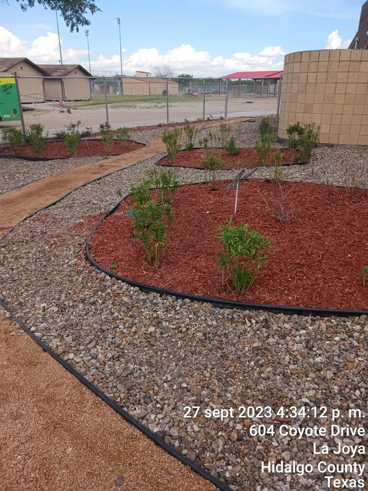 Professional residential landscaping for outdoor upgrades across Mission, TX - Procut's Landscaping