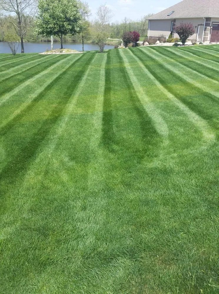 Expert landscape design for homes in Mission, TX by Procut's Landscaping