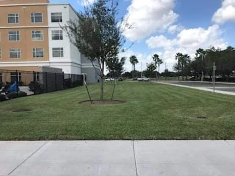 Top-rated lawn mowing service in Mission, TX - Procut's Landscaping