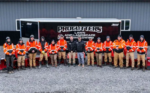 Procutters Landscape