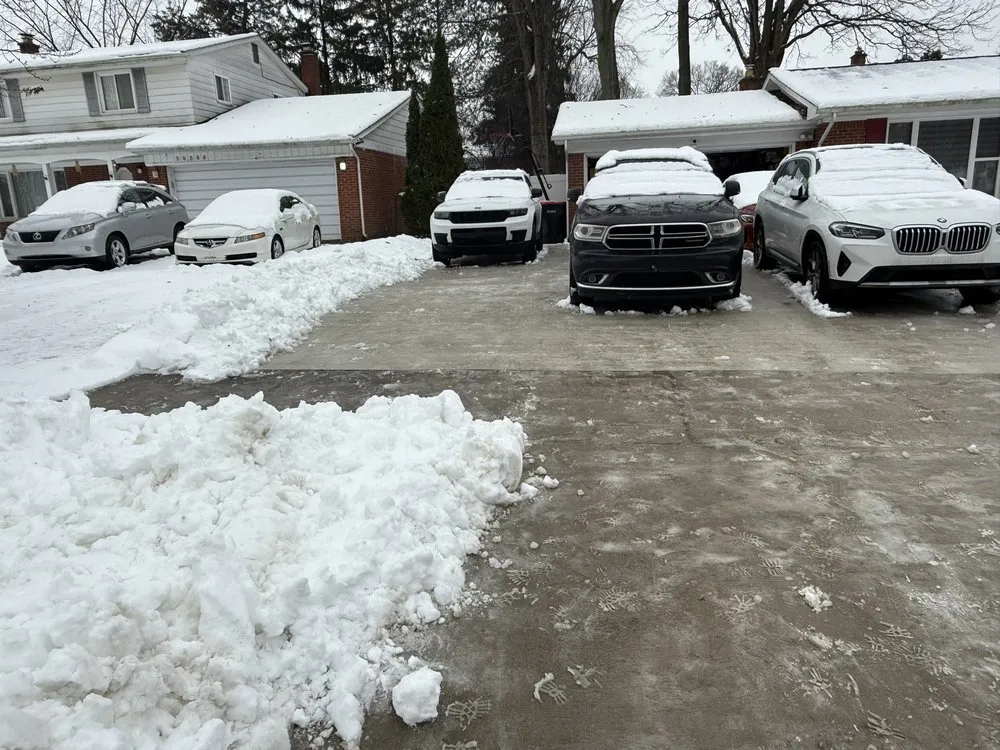 Affordable yard cleanup service in Southfield, MI - Proday Property Care