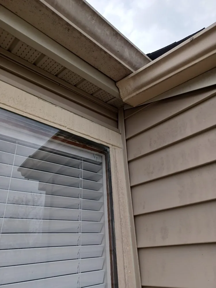 Expert yard cleanup service for residential properties across Chesterfield, VA - ProDel