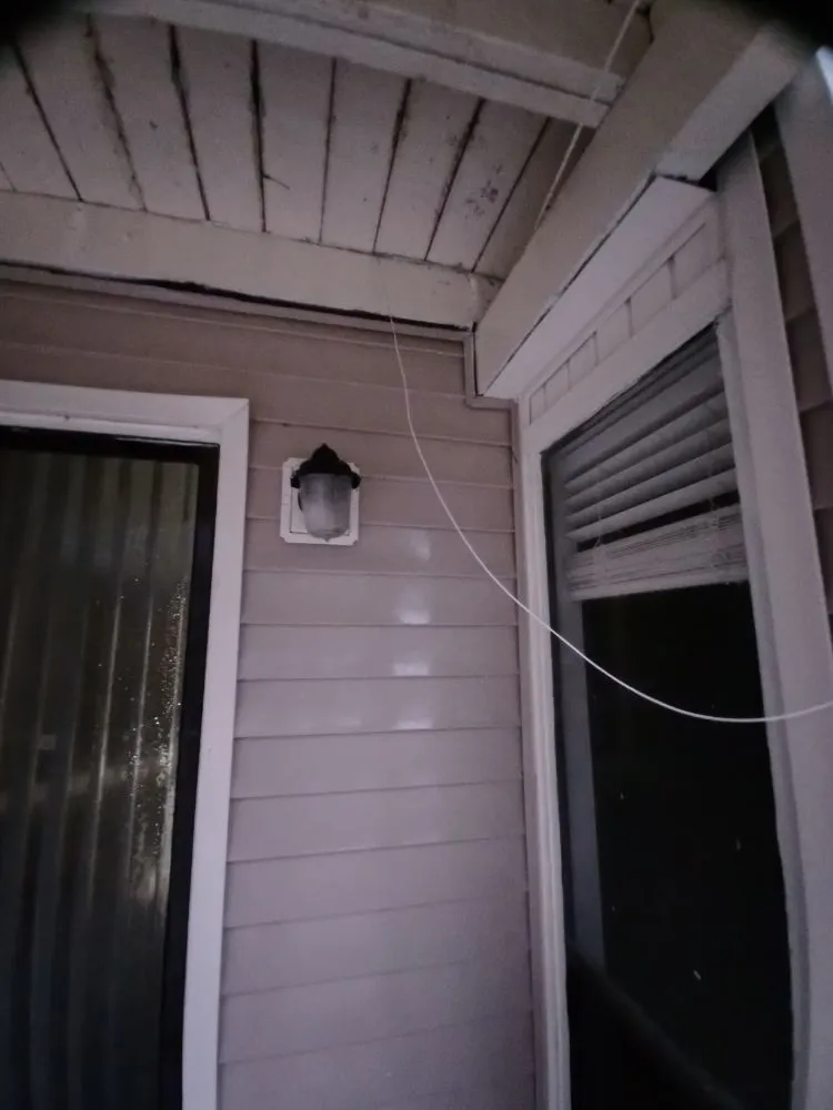 Top-rated yard cleanup service experts serving Chesterfield, VA - ProDel