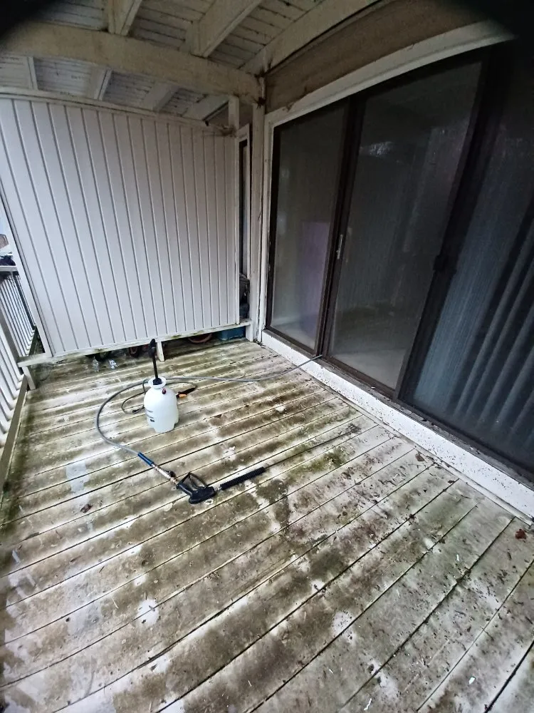 Professional residential landscaping for year-round maintenance across Chesterfield, VA - ProDel