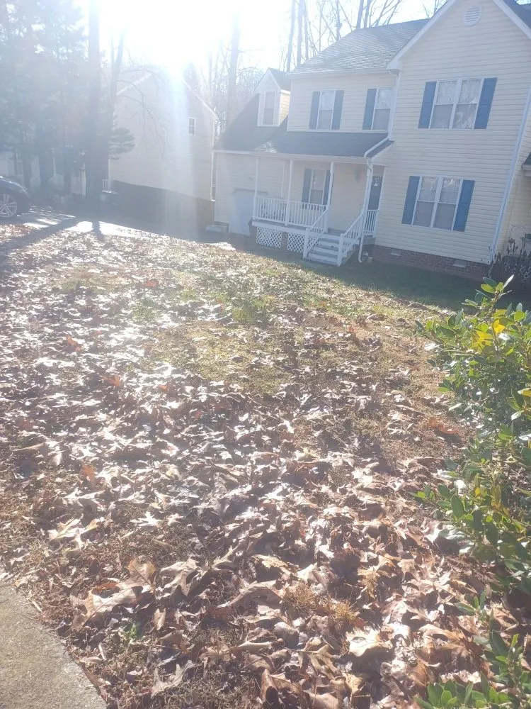 Top-rated lawn mowing service experts serving Chesterfield, VA - ProDel