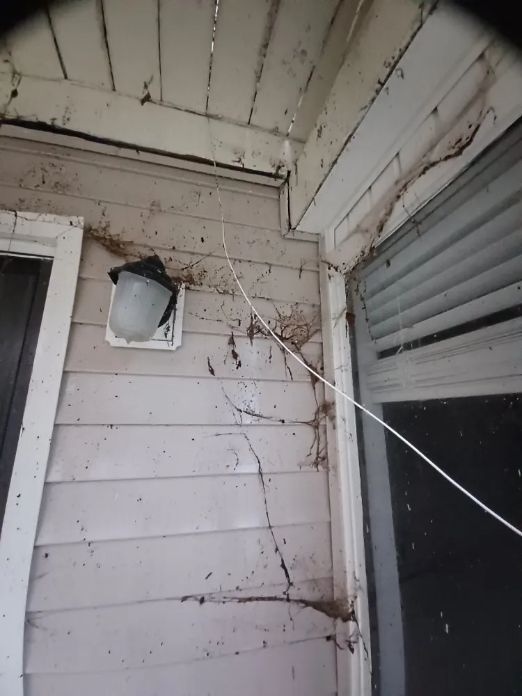 Trusted outdoor landscaping in Chesterfield, VA - ProDel