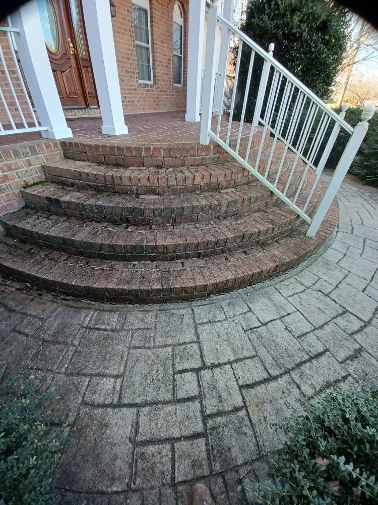 Expert yard cleanup service for beautiful yards across Chesterfield, VA - ProDel