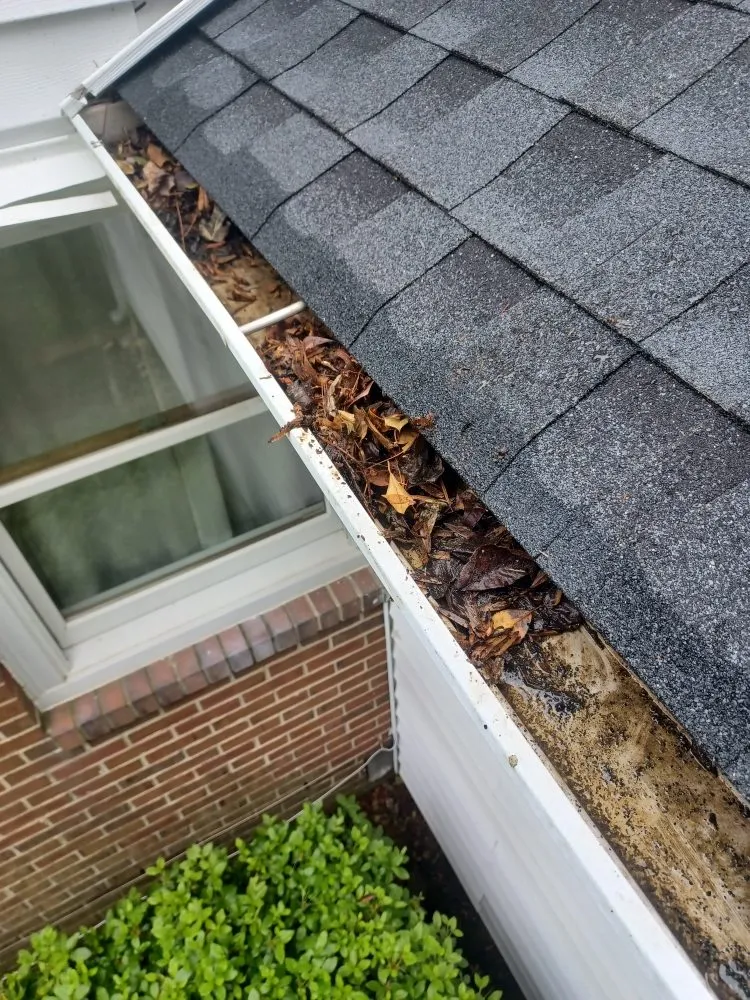 Top-rated landscape installation for year-round maintenance in Chesterfield, VA by ProDel