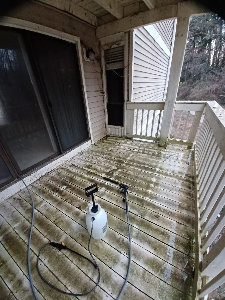 Reliable yard maintenance for year-round maintenance across Chesterfield, VA - ProDel