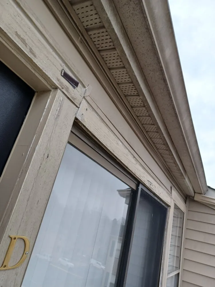 Trusted yard maintenance near you in Chesterfield, VA by ProDel