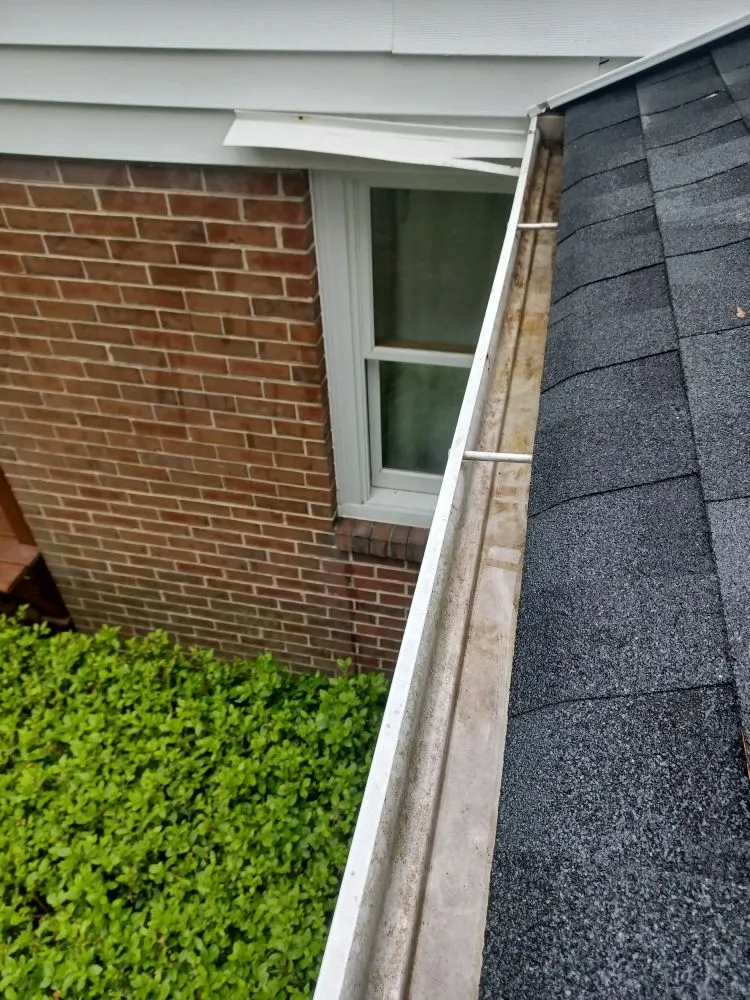 Expert garden landscaping in Chesterfield, VA by ProDel