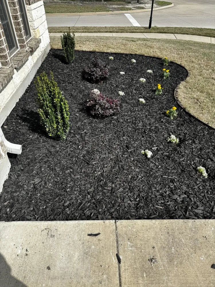 Professional lawn care service in Colorado Springs, CO - Prodigal Management LLC