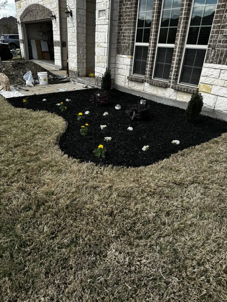 Custom yard cleanup service in Colorado Springs, CO - Prodigal Management LLC