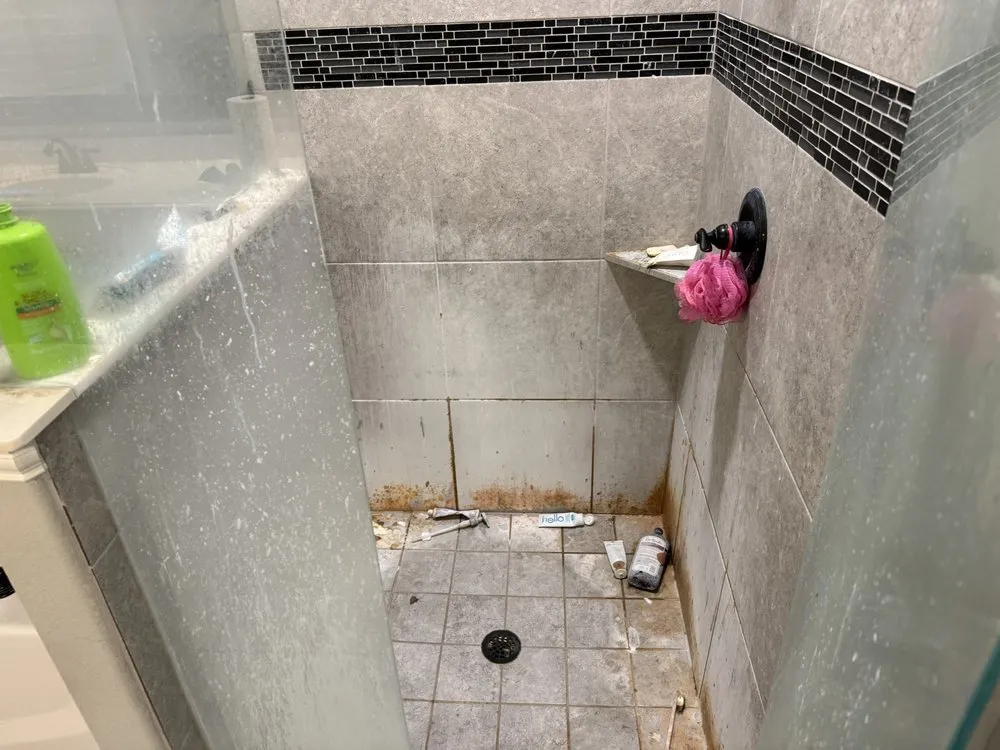 Expert yard cleanup service with custom design in Colorado Springs, CO by Prodigal Management LLC