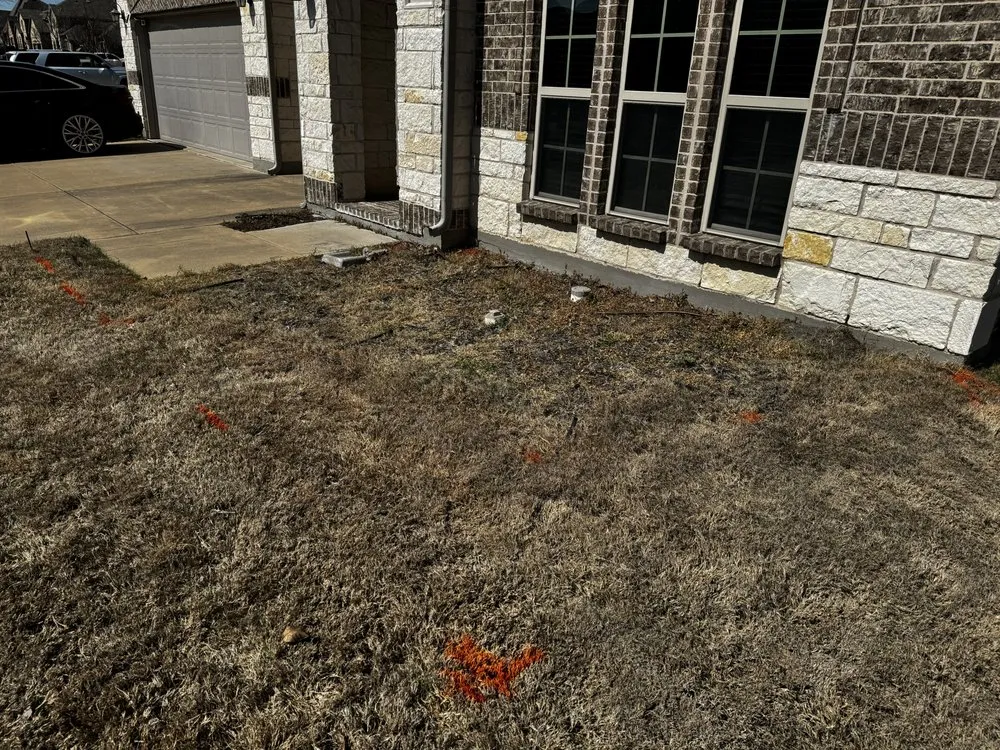 Expert landscape installation with custom design across Colorado Springs, CO - Prodigal Management LLC