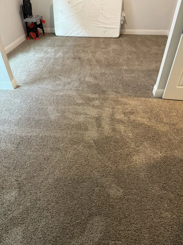 Trusted yard maintenance in Colorado Springs, CO - Prodigal Management LLC