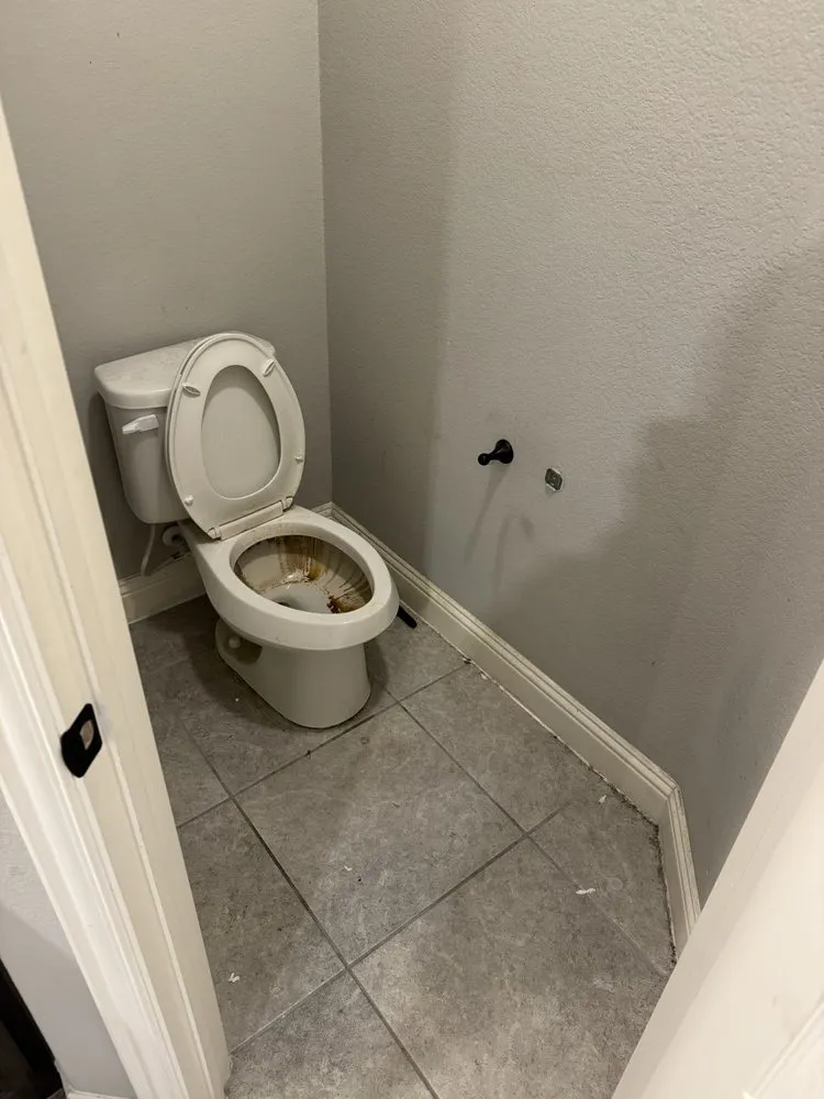 Custom yard maintenance experts serving Colorado Springs, CO - Prodigal Management LLC