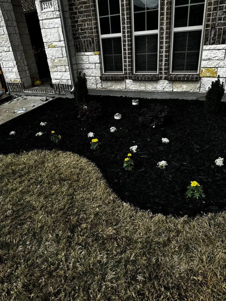 Professional garden landscaping experts serving Colorado Springs, CO - Prodigal Management LLC