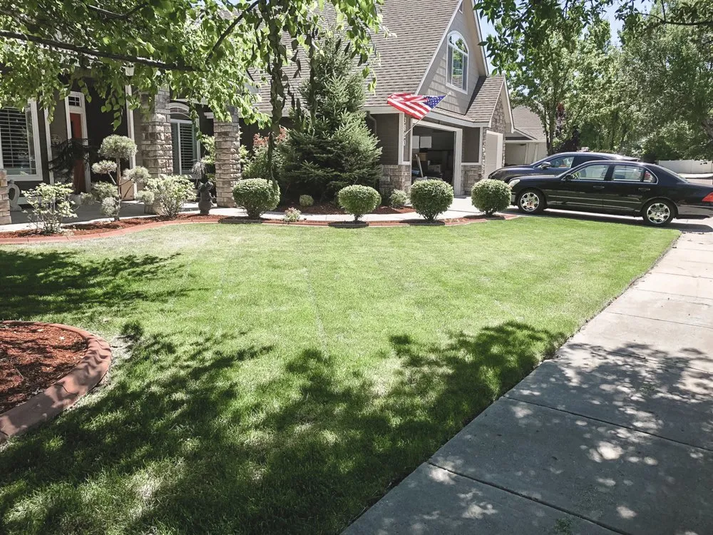 Professional yard maintenance for residential properties across Boise, ID - Prodigy Hedging