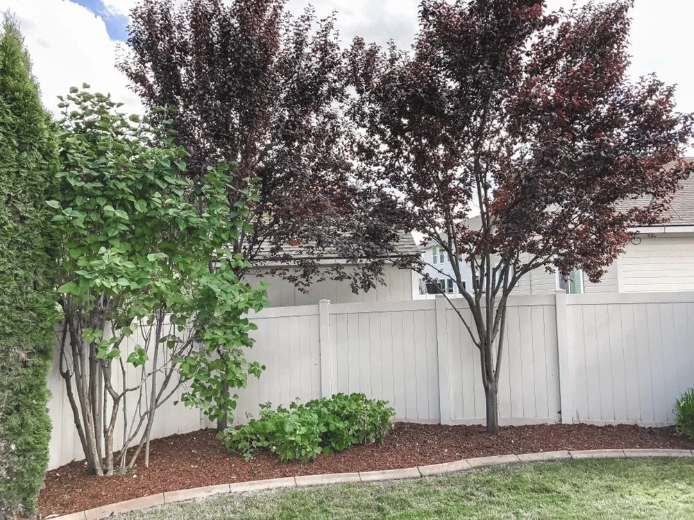 Expert garden landscaping in Boise, ID - Prodigy Hedging