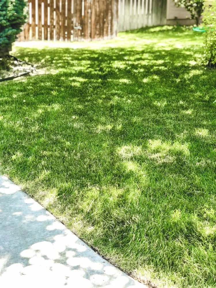 Custom outdoor landscaping for outdoor upgrades in Boise, ID by Prodigy Hedging