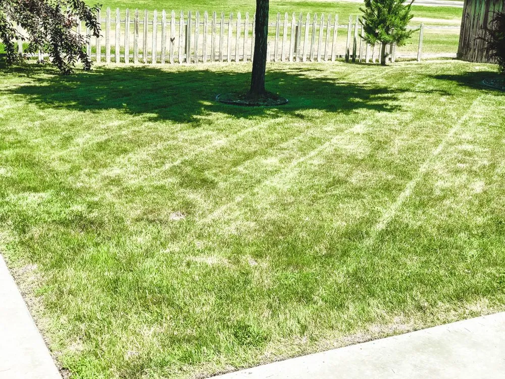 Reliable residential landscaping experts serving Boise, ID - Prodigy Hedging