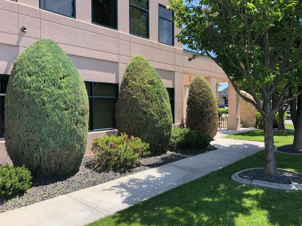 Local lawn care service for outdoor upgrades across Boise, ID - Prodigy Hedging