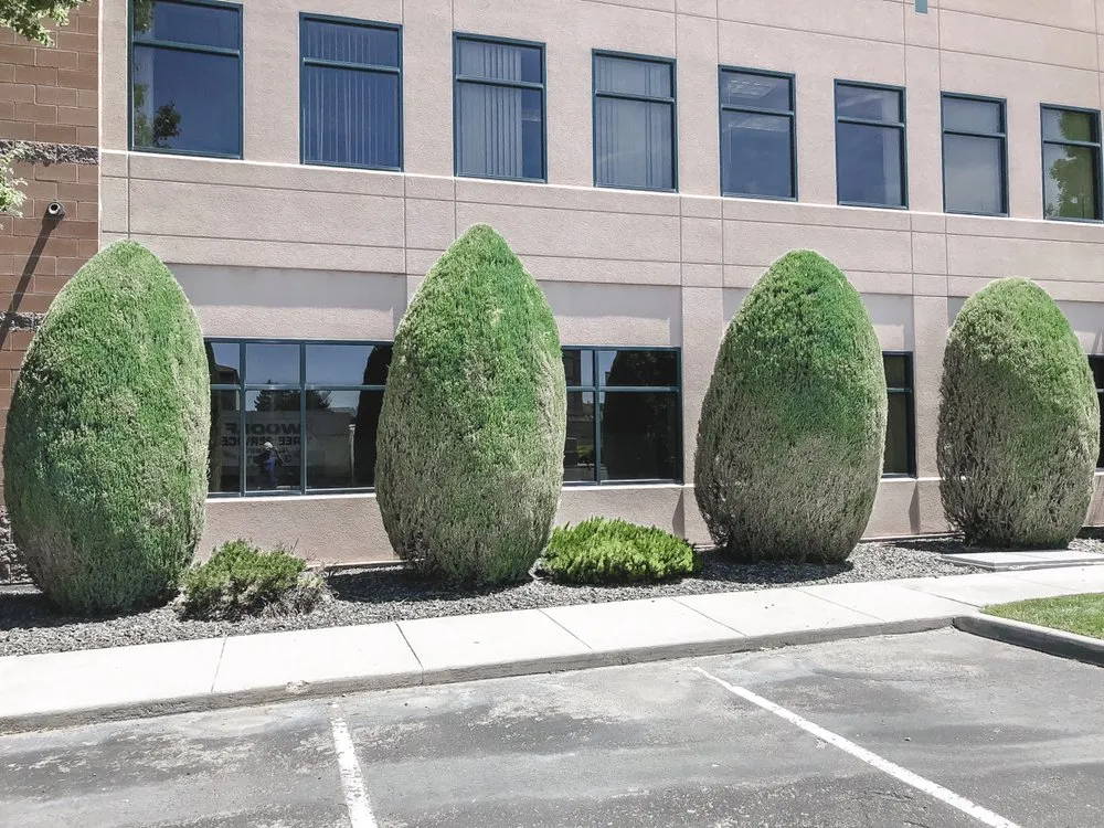 Trusted residential landscaping with custom design in Boise, ID by Prodigy Hedging