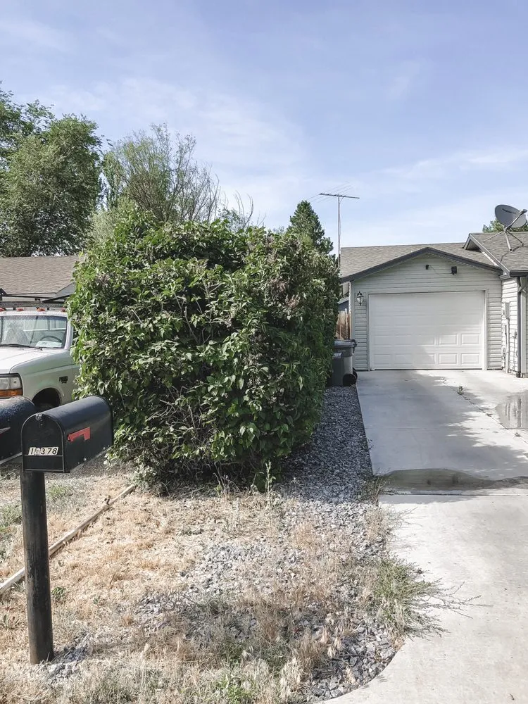 Custom lawn mowing service for residential properties in Boise, ID by Prodigy Hedging