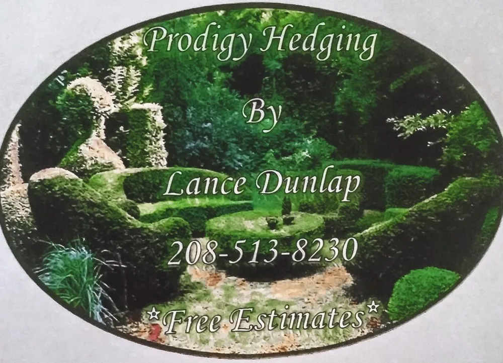 Affordable lawn care service for outdoor upgrades in Boise, ID by Prodigy Hedging