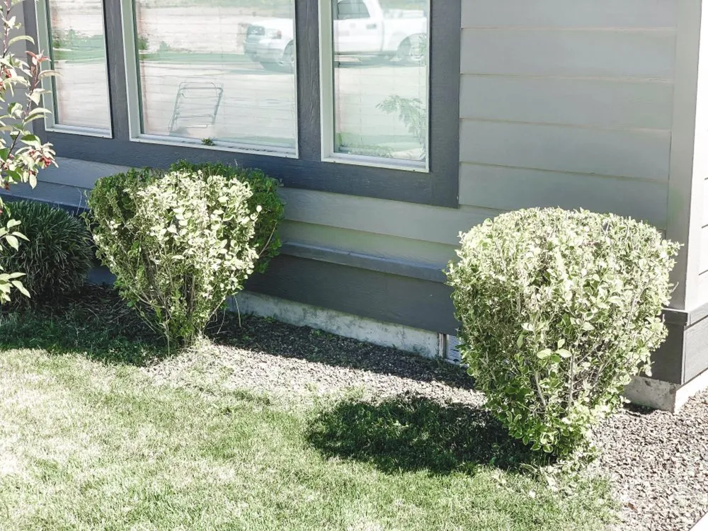 Custom residential landscaping experts serving Boise, ID - Prodigy Hedging