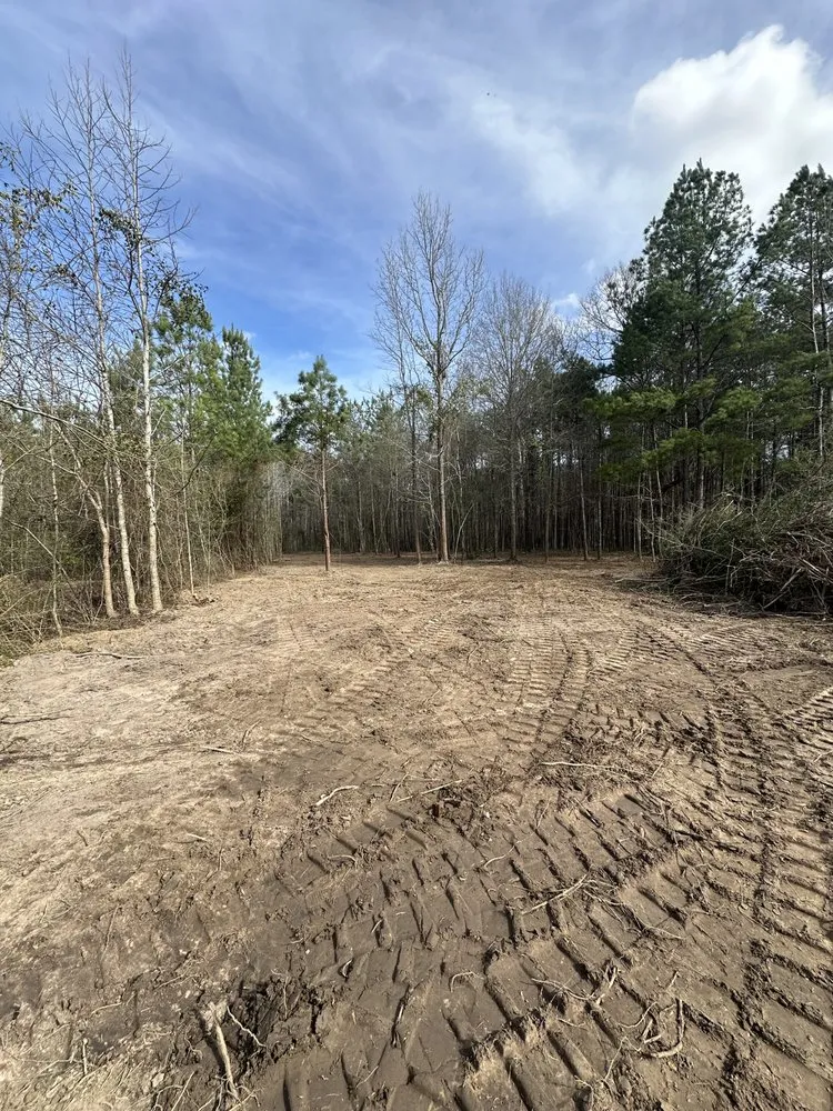 Top-rated residential landscaping for beautiful yards in Sumrall, MS by Prodigy Land Management