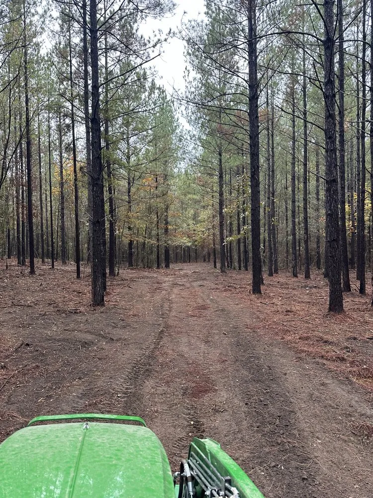 Professional garden landscaping in Sumrall, MS by Prodigy Land Management