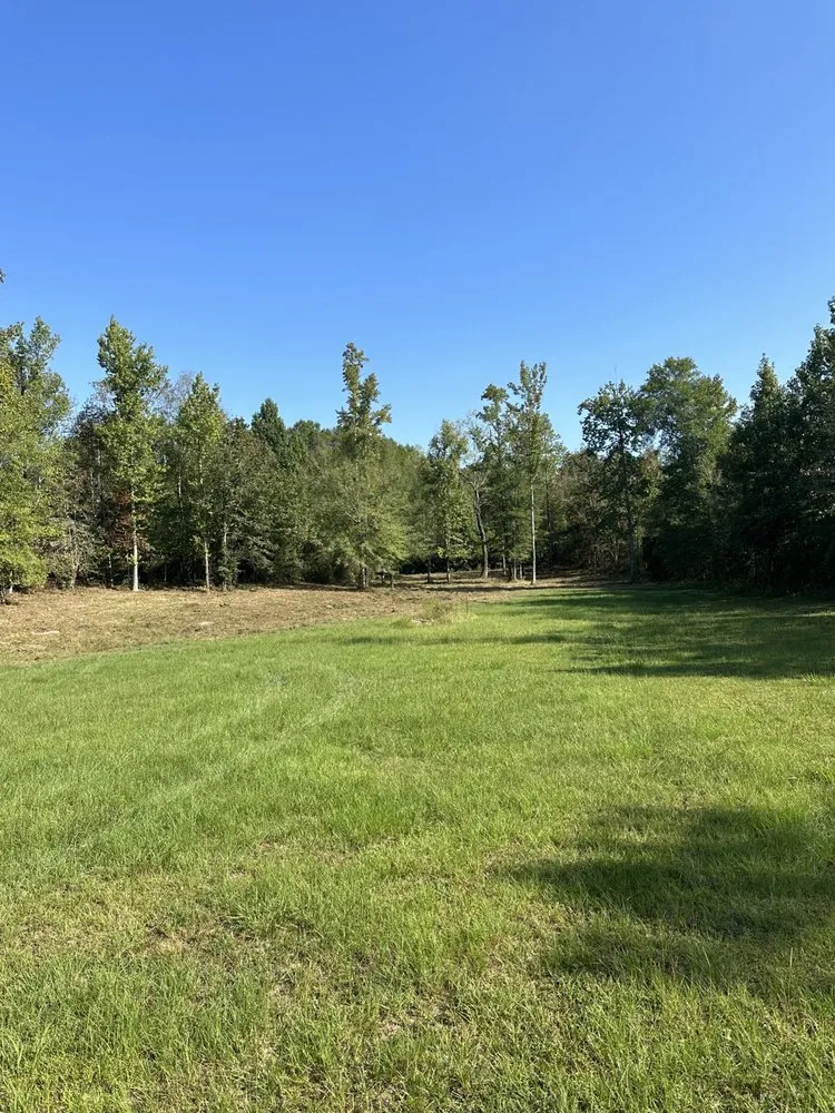 Trusted landscaping services in Sumrall, MS by Prodigy Land Management