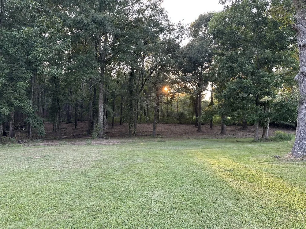 Professional outdoor landscaping experts serving Sumrall, MS - Prodigy Land Management