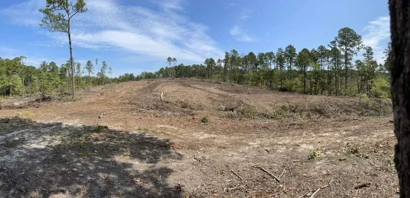 Expert landscaping services experts serving Sumrall, MS - Prodigy Land Management