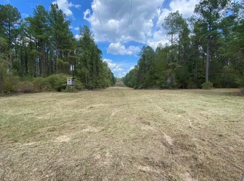 Top-rated lawn mowing service for beautiful yards across Sumrall, MS - Prodigy Land Management