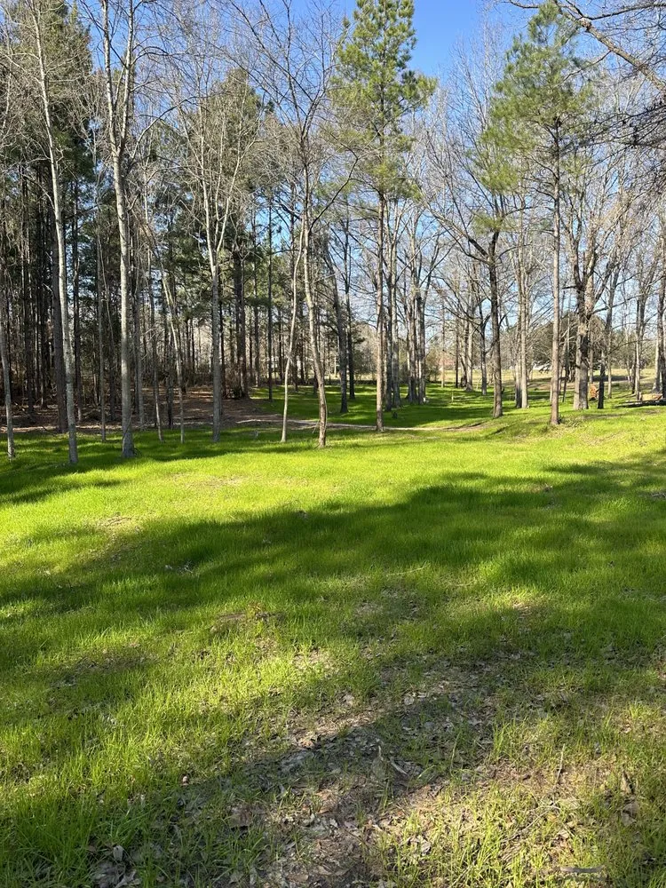 Affordable residential landscaping for year-round maintenance across Sumrall, MS - Prodigy Land Management
