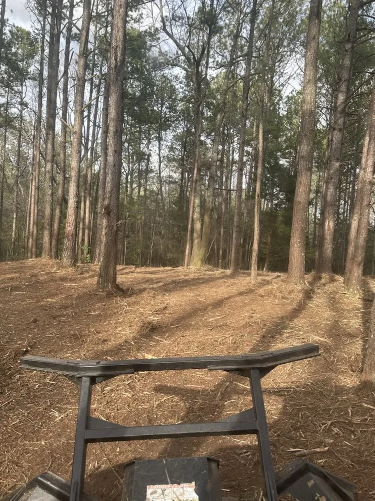 Expert landscape installation with custom design across Sumrall, MS - Prodigy Land Management