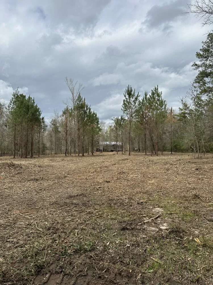 Affordable residential landscaping for outdoor upgrades in Sumrall, MS by Prodigy Land Management