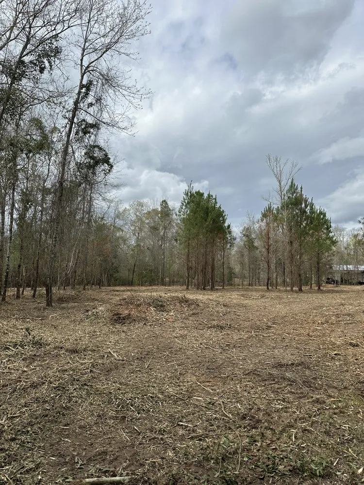 Professional lawn care service for residential properties across Sumrall, MS - Prodigy Land Management