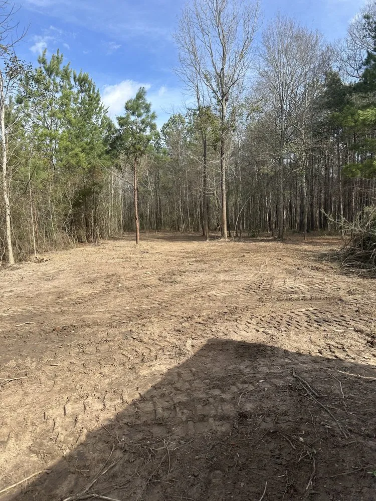Expert landscape installation in Sumrall, MS - Prodigy Land Management