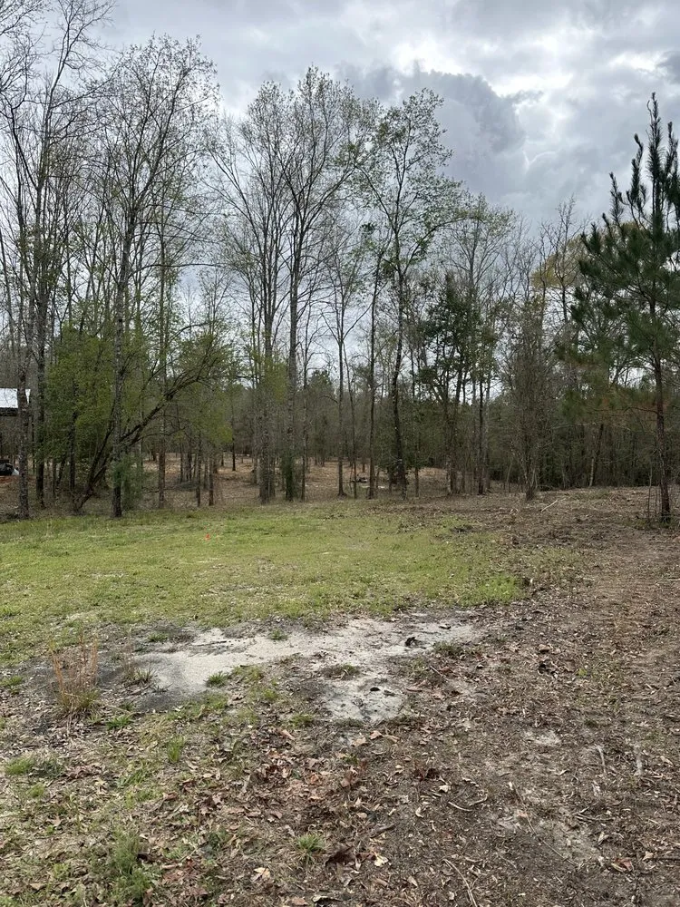 Expert lawn mowing service in Sumrall, MS - Prodigy Land Management