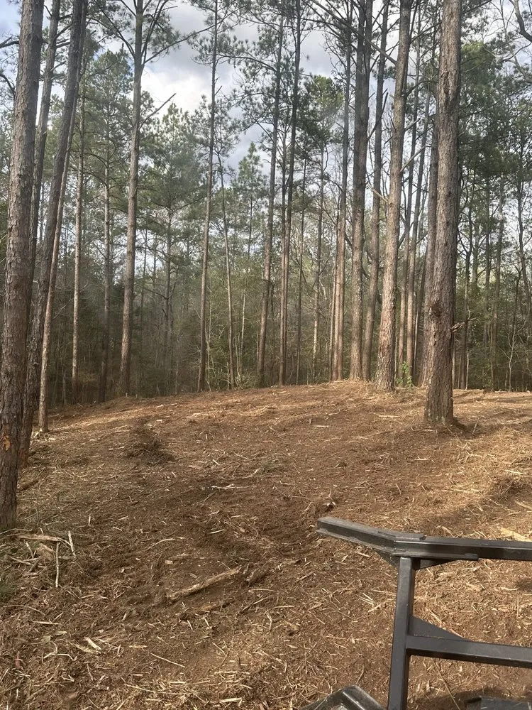 Expert landscape installation for residential properties across Sumrall, MS - Prodigy Land Management