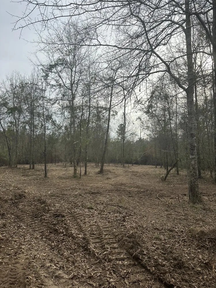 Affordable landscape installation experts serving Sumrall, MS - Prodigy Land Management