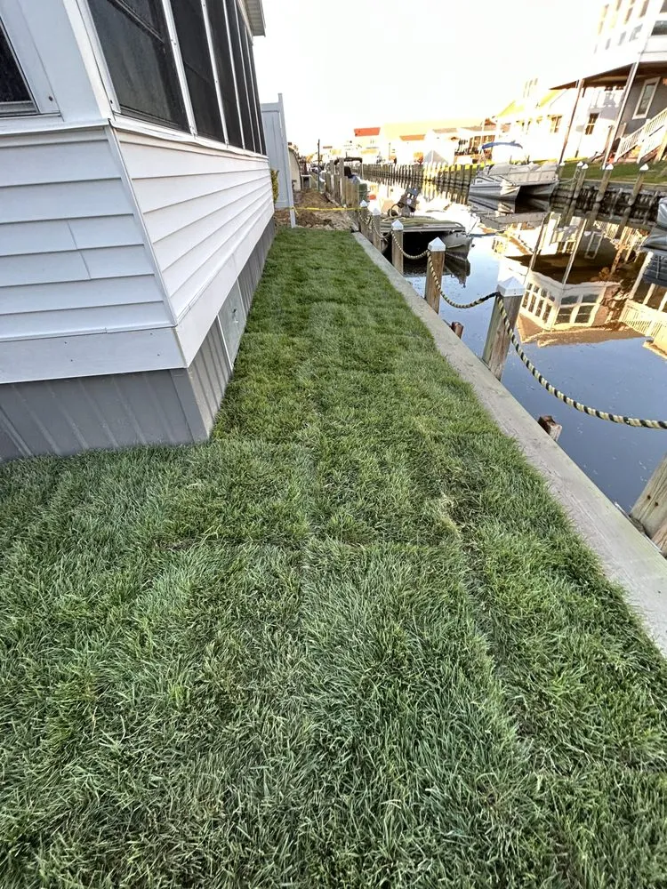 Custom garden landscaping for year-round maintenance in Frankford, DE by Prodigy Landscaping