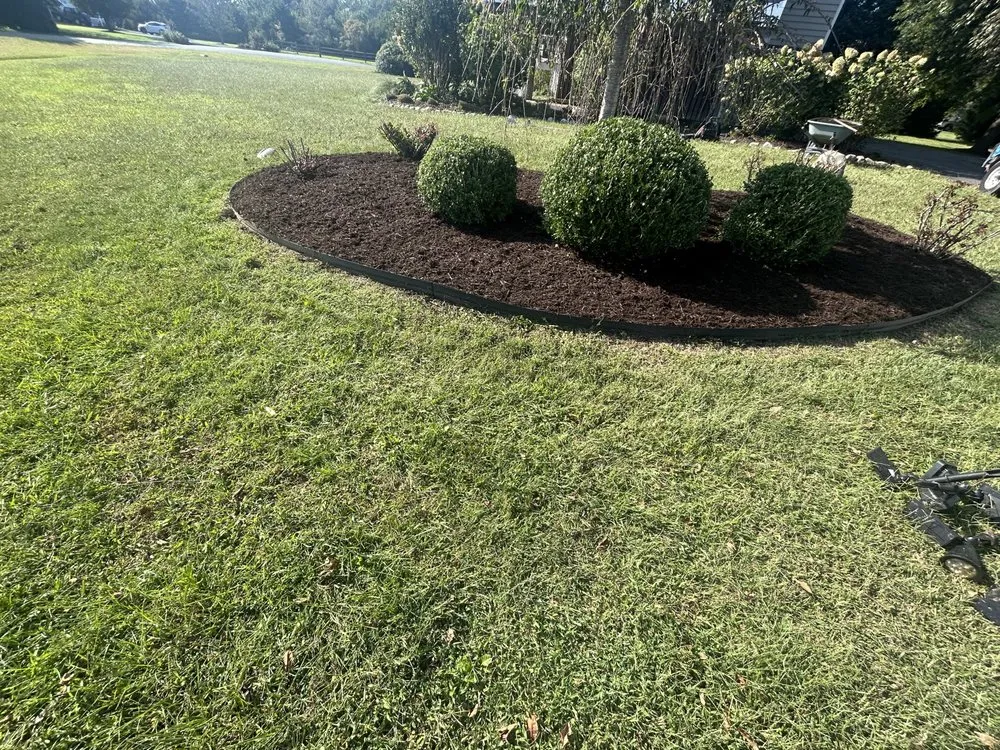Affordable landscaping services in Frankford, DE by Prodigy Landscaping