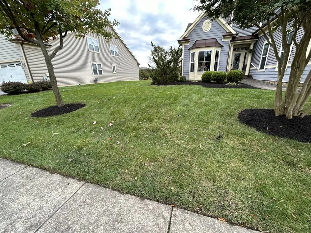 Professional landscape design for year-round maintenance in Frankford, DE by Prodigy Landscaping