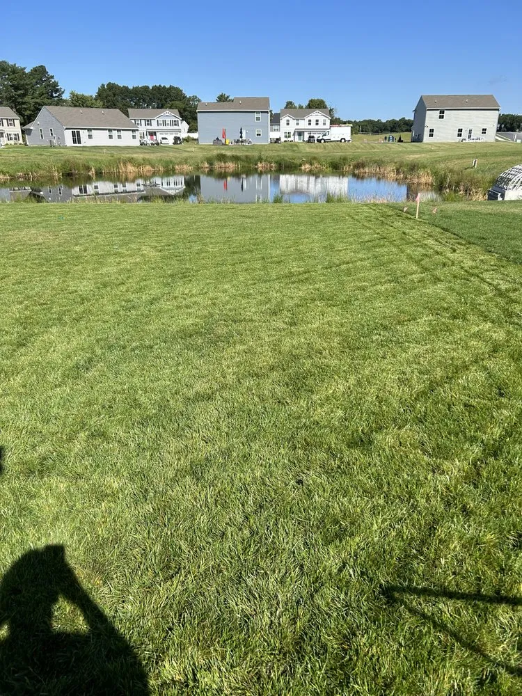 Affordable residential landscaping for year-round maintenance across Frankford, DE - Prodigy Landscaping