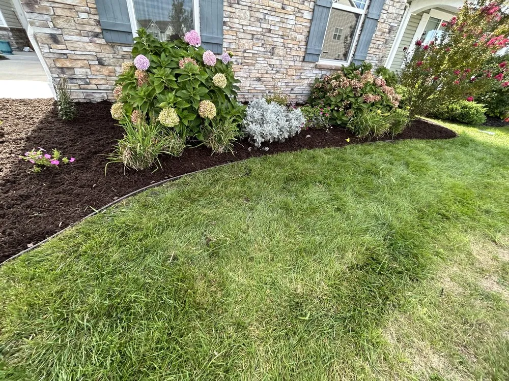 Reliable residential landscaping experts serving Frankford, DE - Prodigy Landscaping